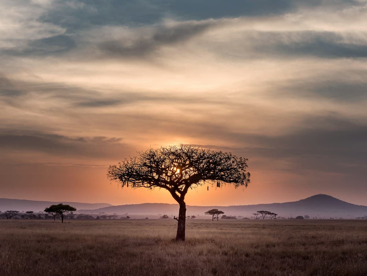 Authentic Maasai cultural tour with Obmet Safaris